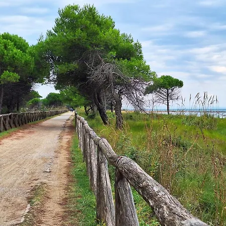 Your Garden Heaven In The Heart Of Lido Dei Pini شقة