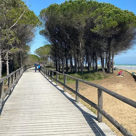 شقة Your Garden Heaven In The Heart Of Lido Dei Pini بيبيوني